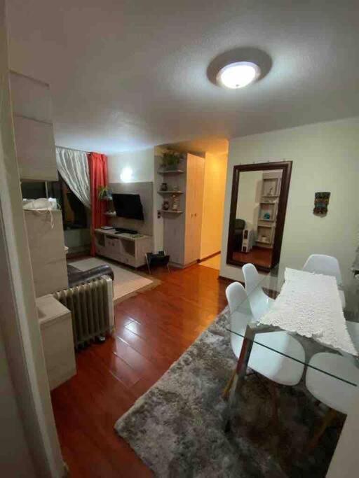 Comodo Departamento En El Centro De Stgo Apartment Сантяго Екстериор снимка